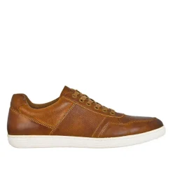 TIPO ALTO Derbies Marron|Homme Baskets, Sneakers